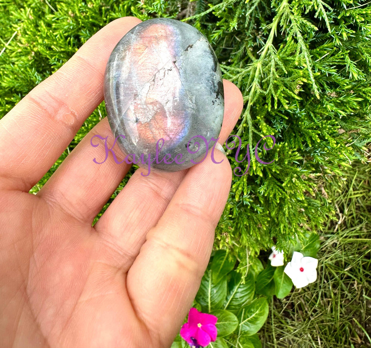 2 Lbs Natural Sunset Labradorite Palm Stone Crystal - Cozy Coven