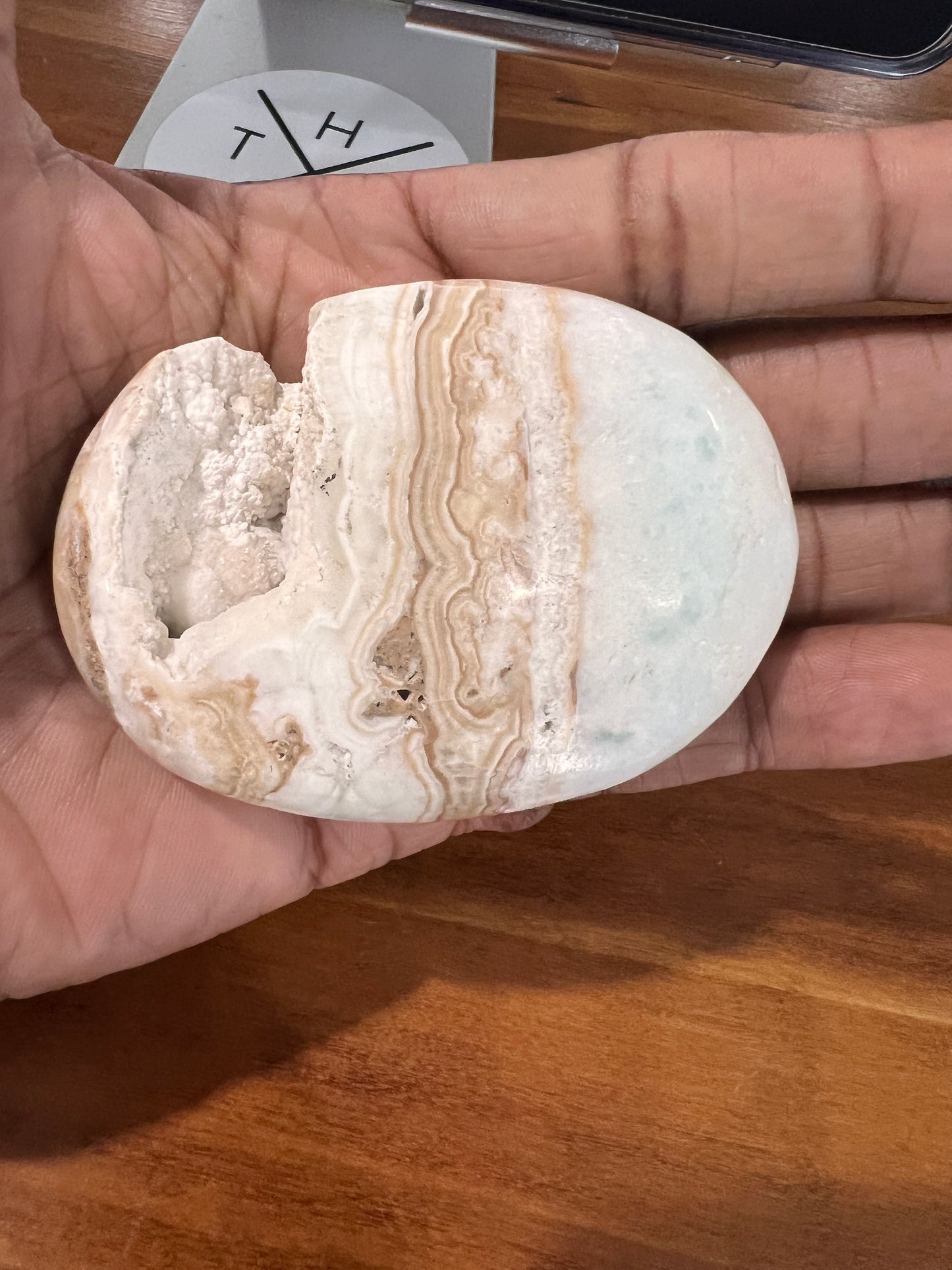 Caribbean Calcite Palm Stone - Cozy Coven
