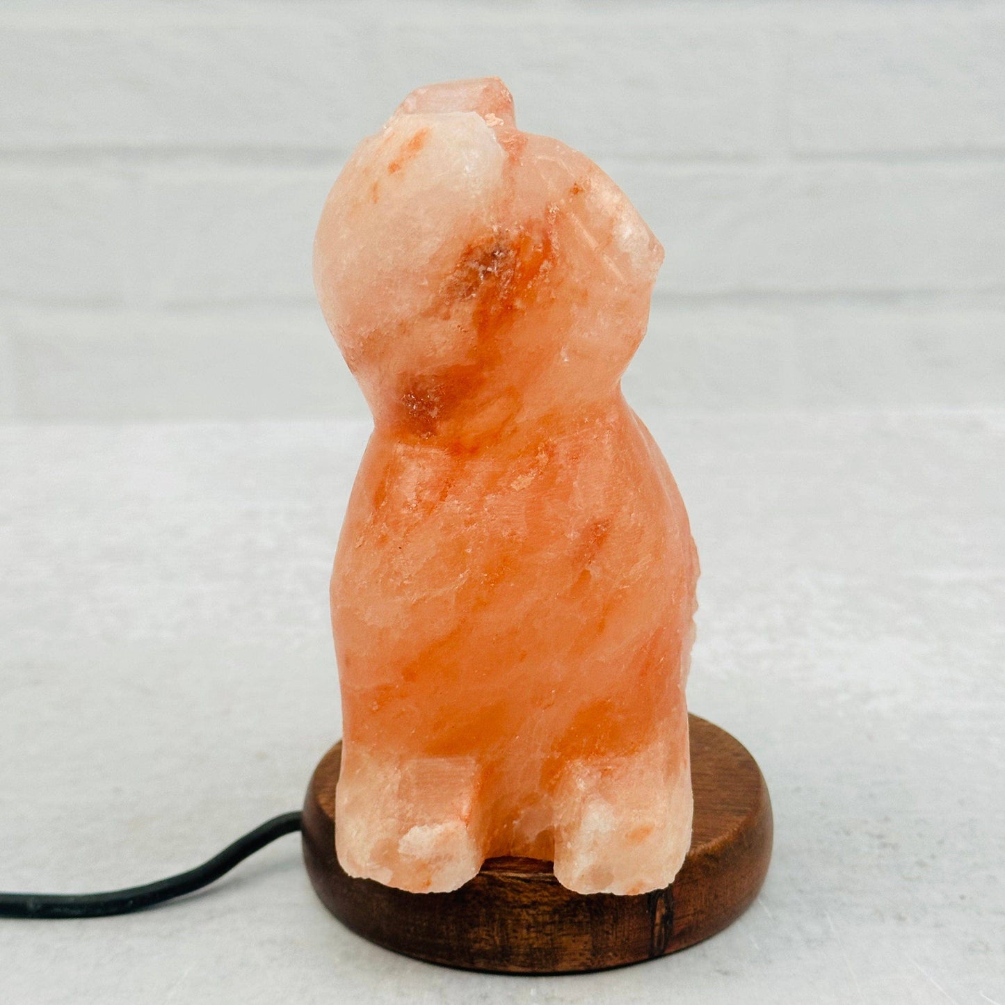Himalayan Salt Cat Lamp