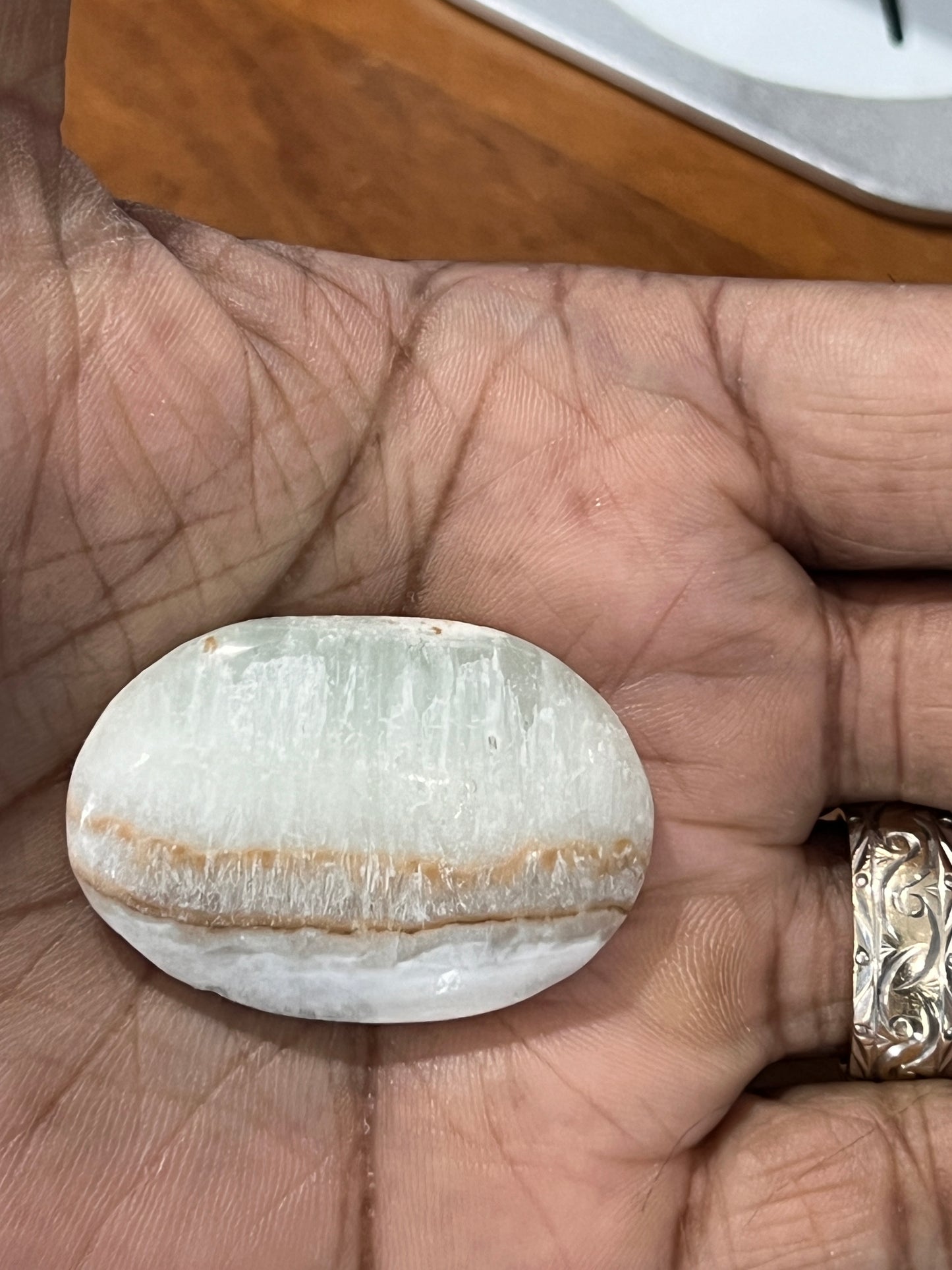 Caribbean Calcite Palm Stone - Cozy Coven