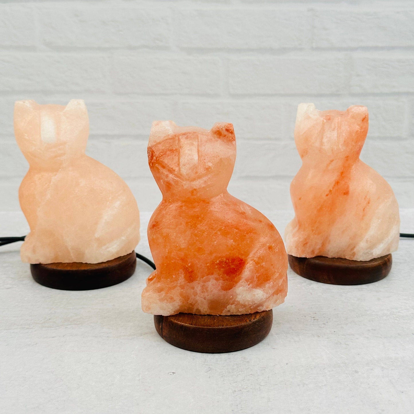 Himalayan Salt Cat Lamp