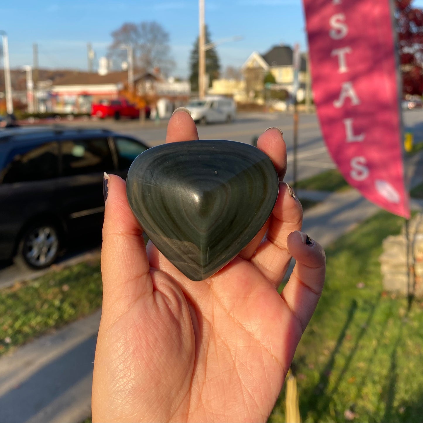 Black Obsidian Palm