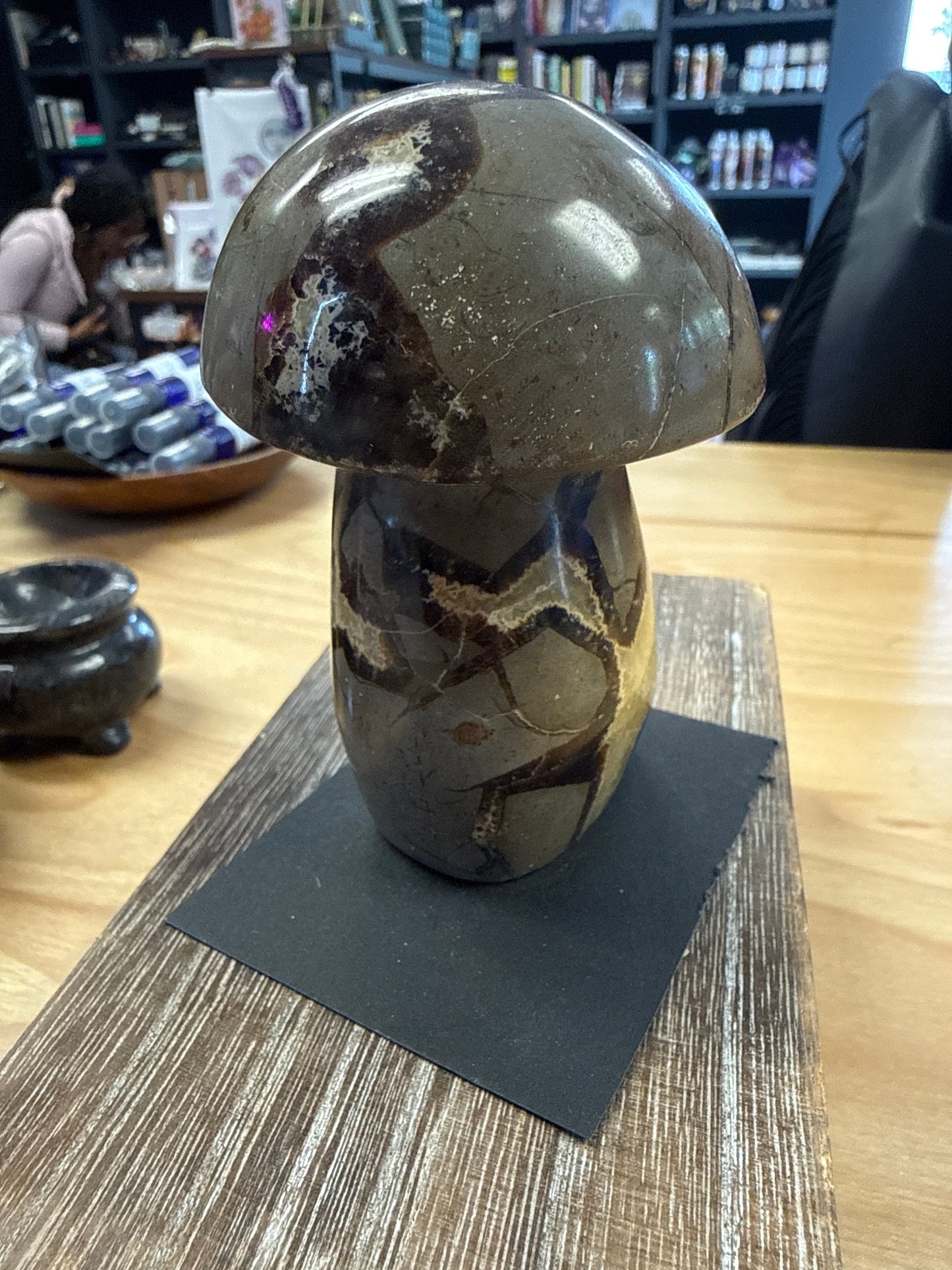 Septarian Mushroom - Cozy Coven
