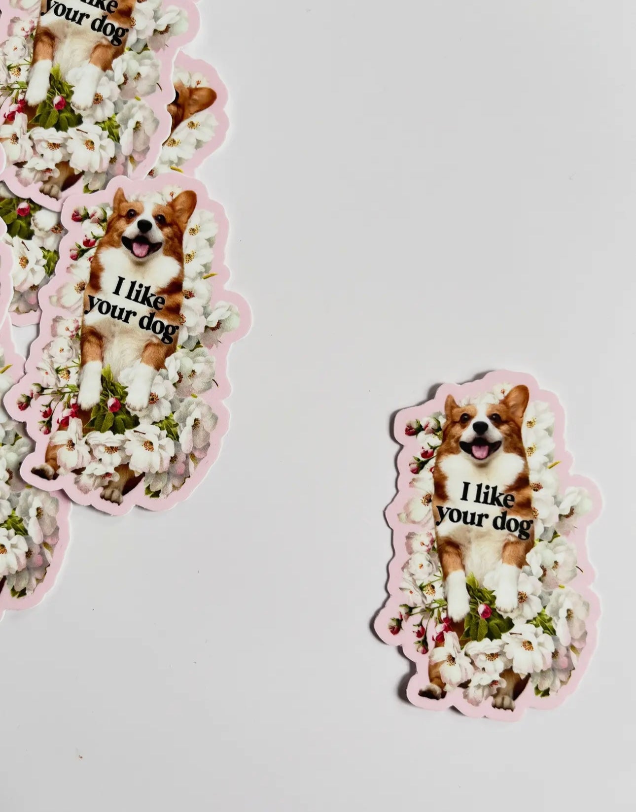 I Like Your Dog Cute Corgi Funny Sticker