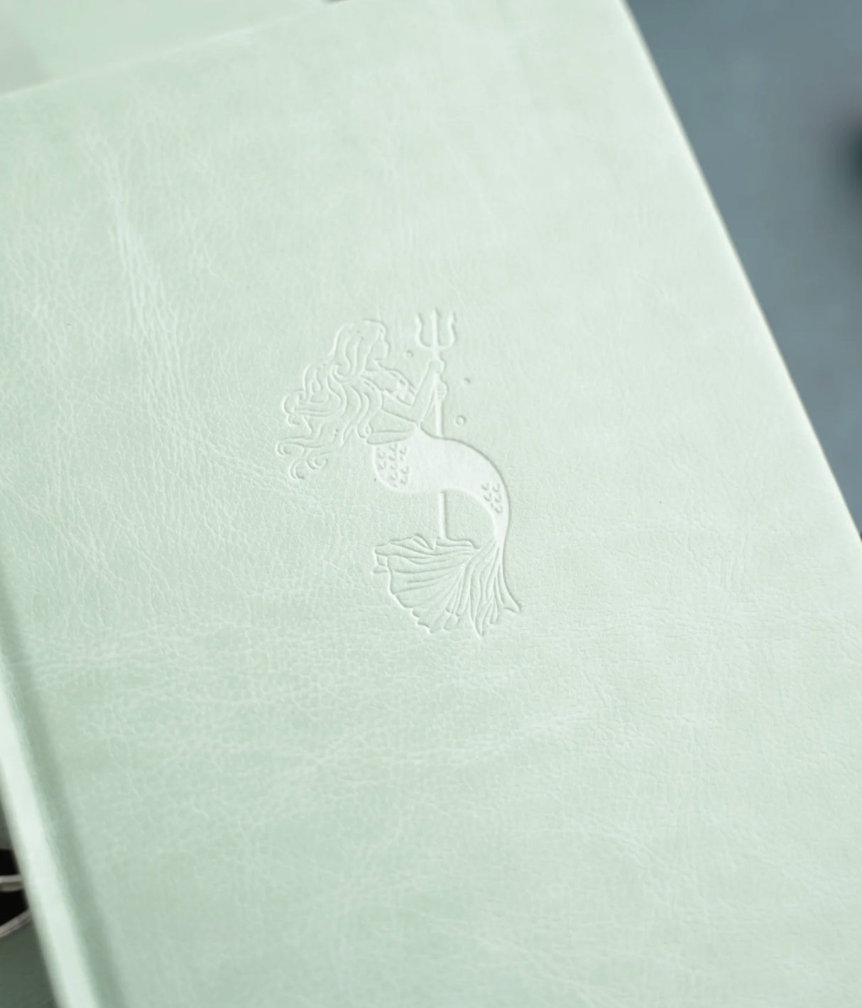 Archer + Olive Vintage Mermaid Dot Grid Square Notebook Journaling