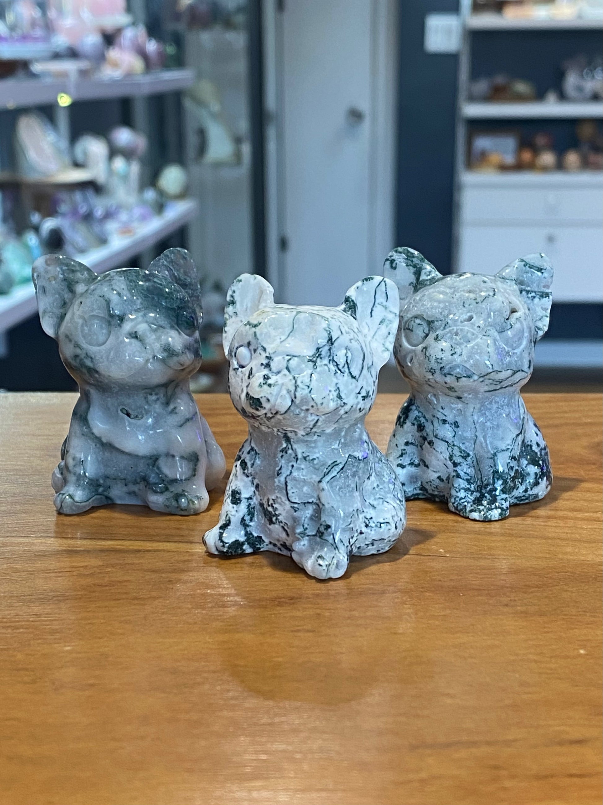 Dog π  Crystal Carvings - Cozy Coven