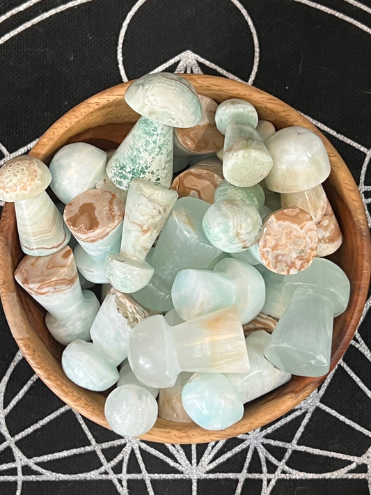 Caribbean Calcite Shapes