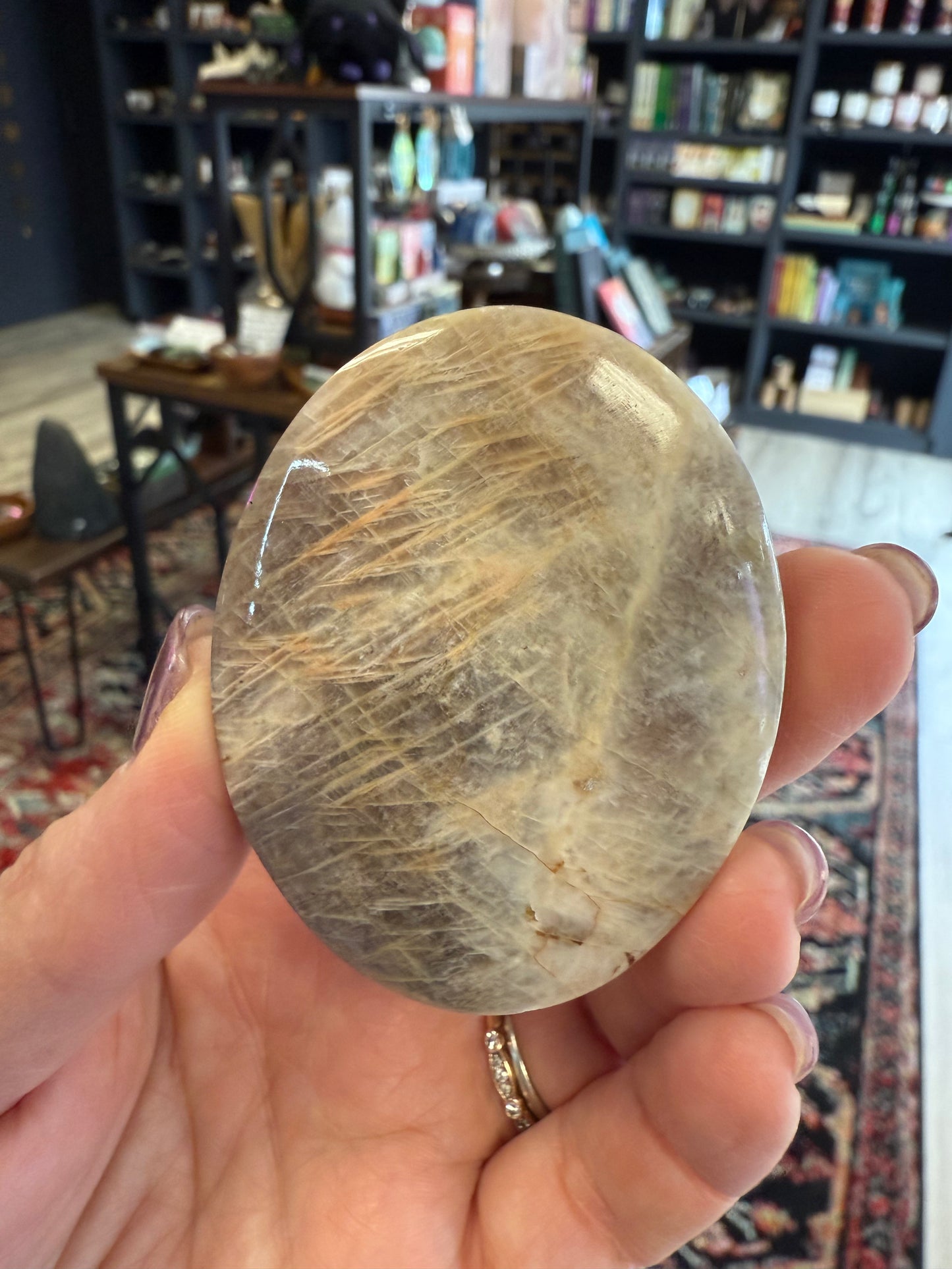 Moonstone Palm