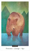 Familiar Field Oracle Deck By Hannah Elizabeth Fofana