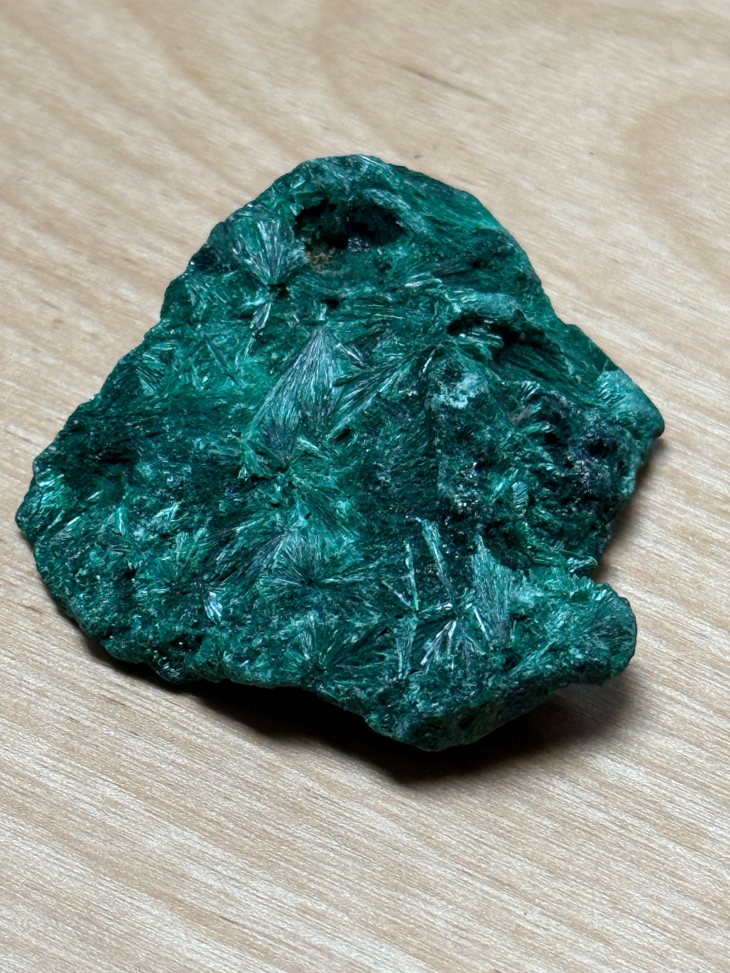 Raw Velvet Malachite - Cozy Coven