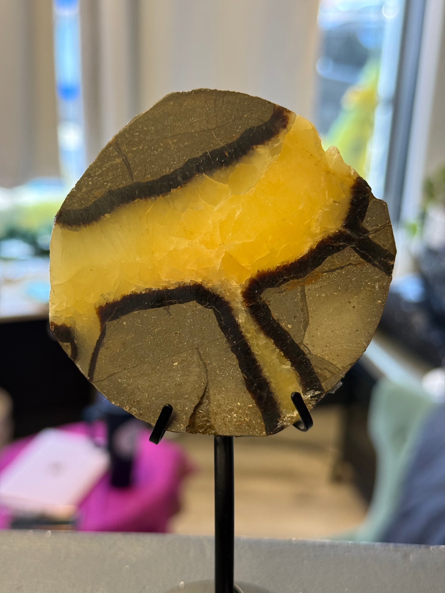 Septarian Dragonstone Slab With Stand - Cozy Coven
