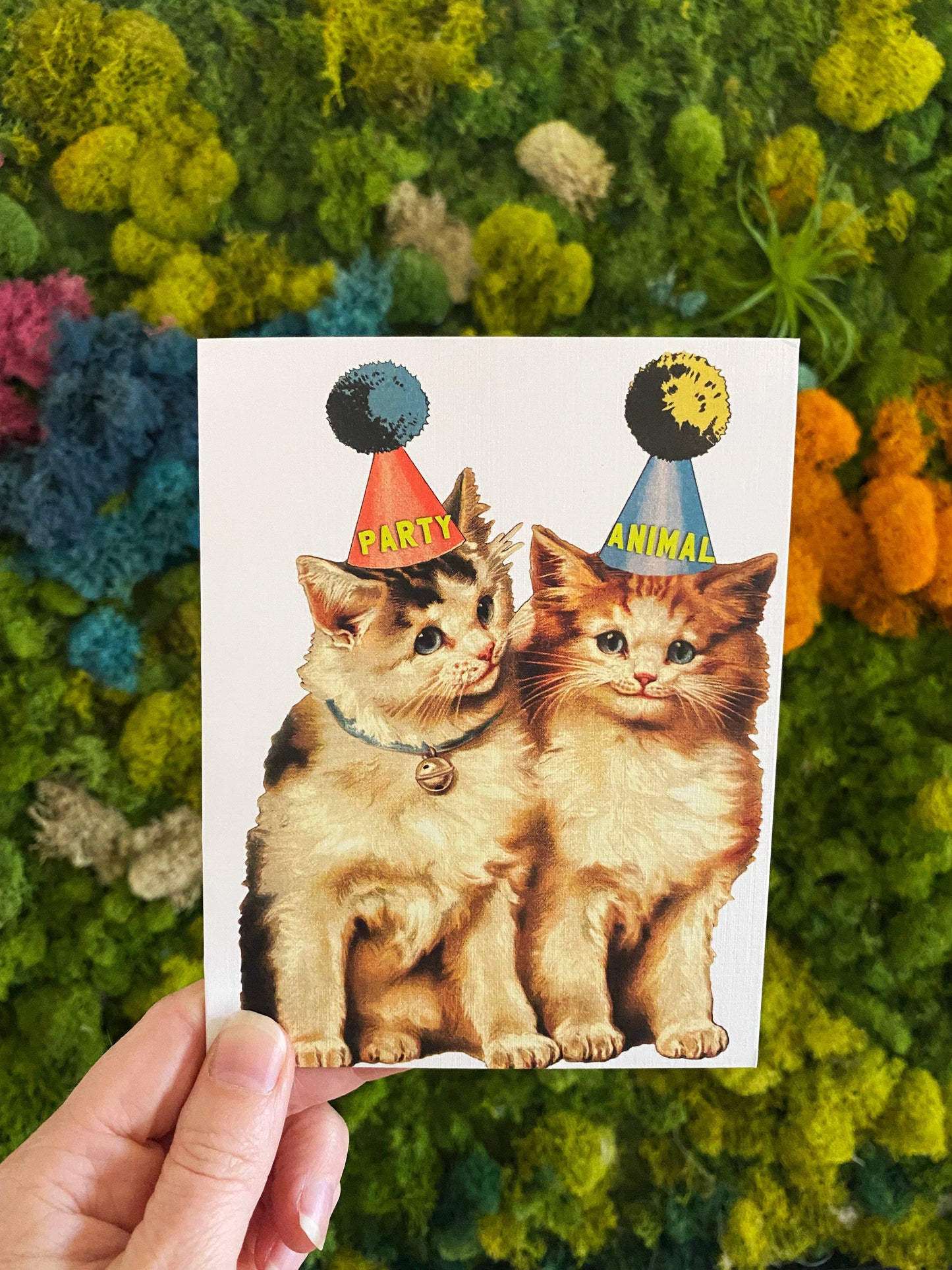 Party Cats Funny Birthday or Celebration Card