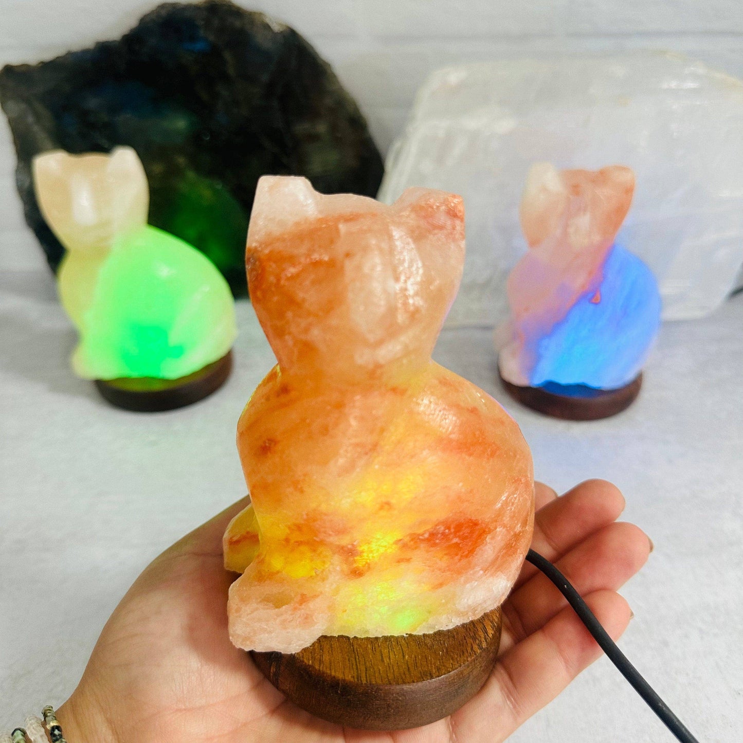 Himalayan Salt Cat Lamp