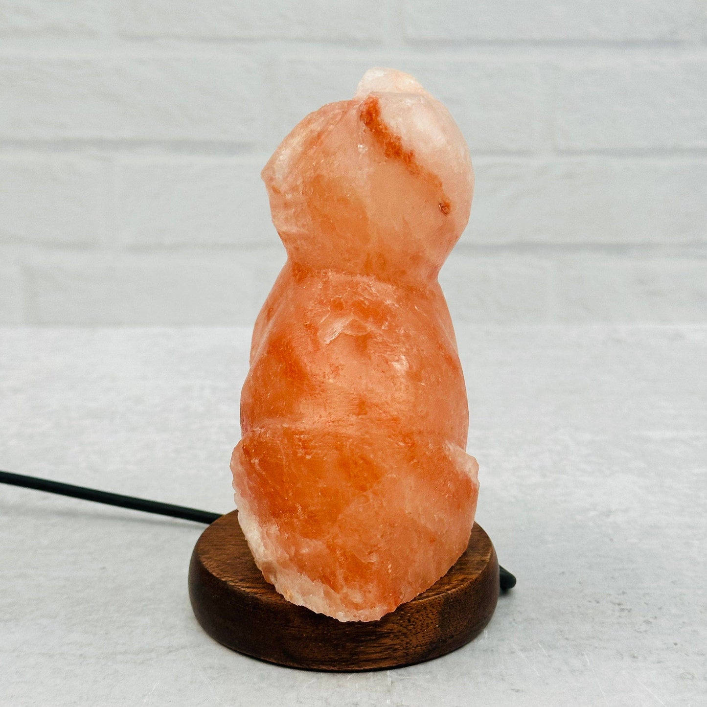 Himalayan Salt Cat Lamp