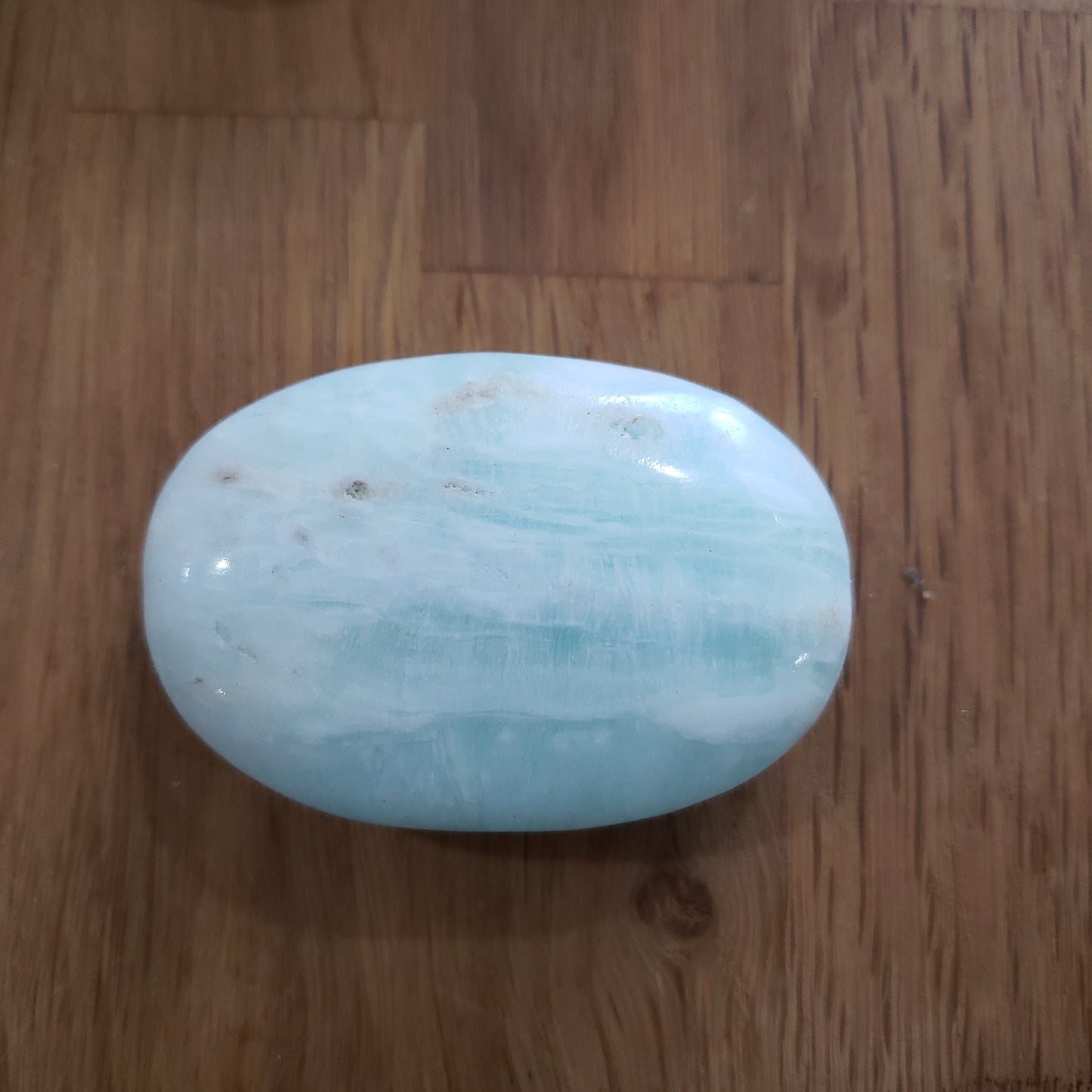 Caribbean Calcite Palm Stone - The Healing Collective NY