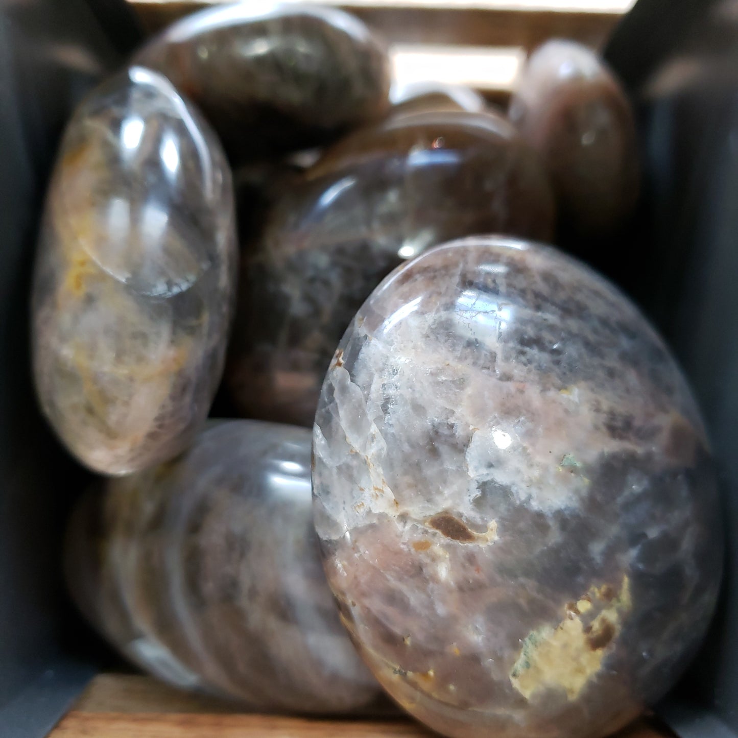 Black Moonstone Palm Stone - The Healing Collective NY