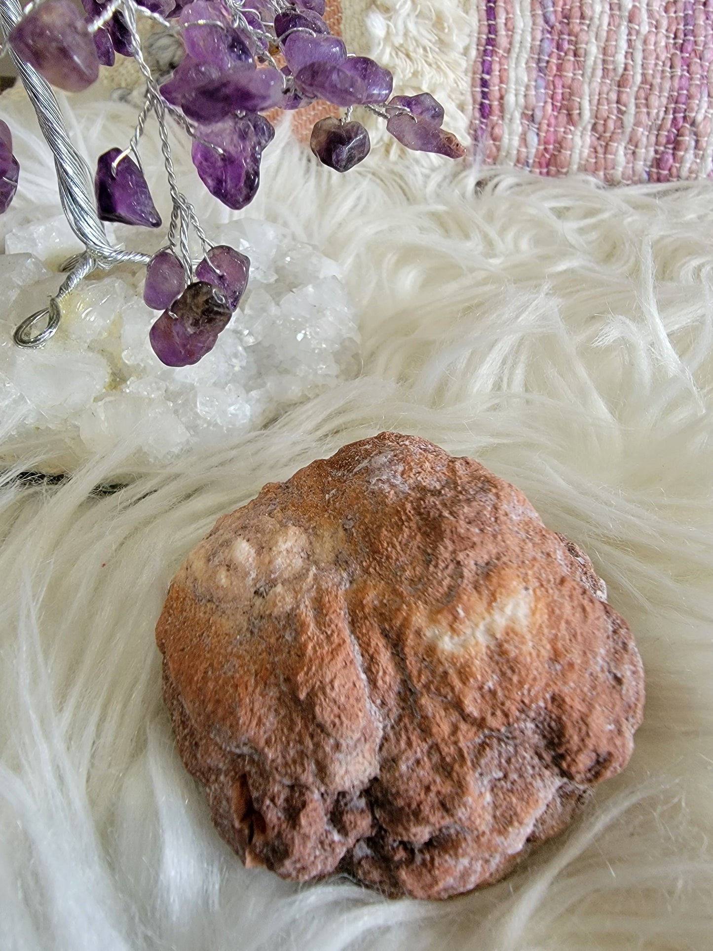 Pink Amethyst Cluster (M) - The Healing Collective NY