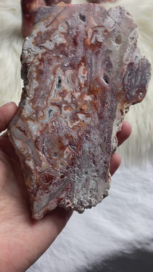 Crazy Lace / Mexican Druzy Agate Slab