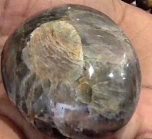 Black Moonstone Palm Stone - The Healing Collective NY