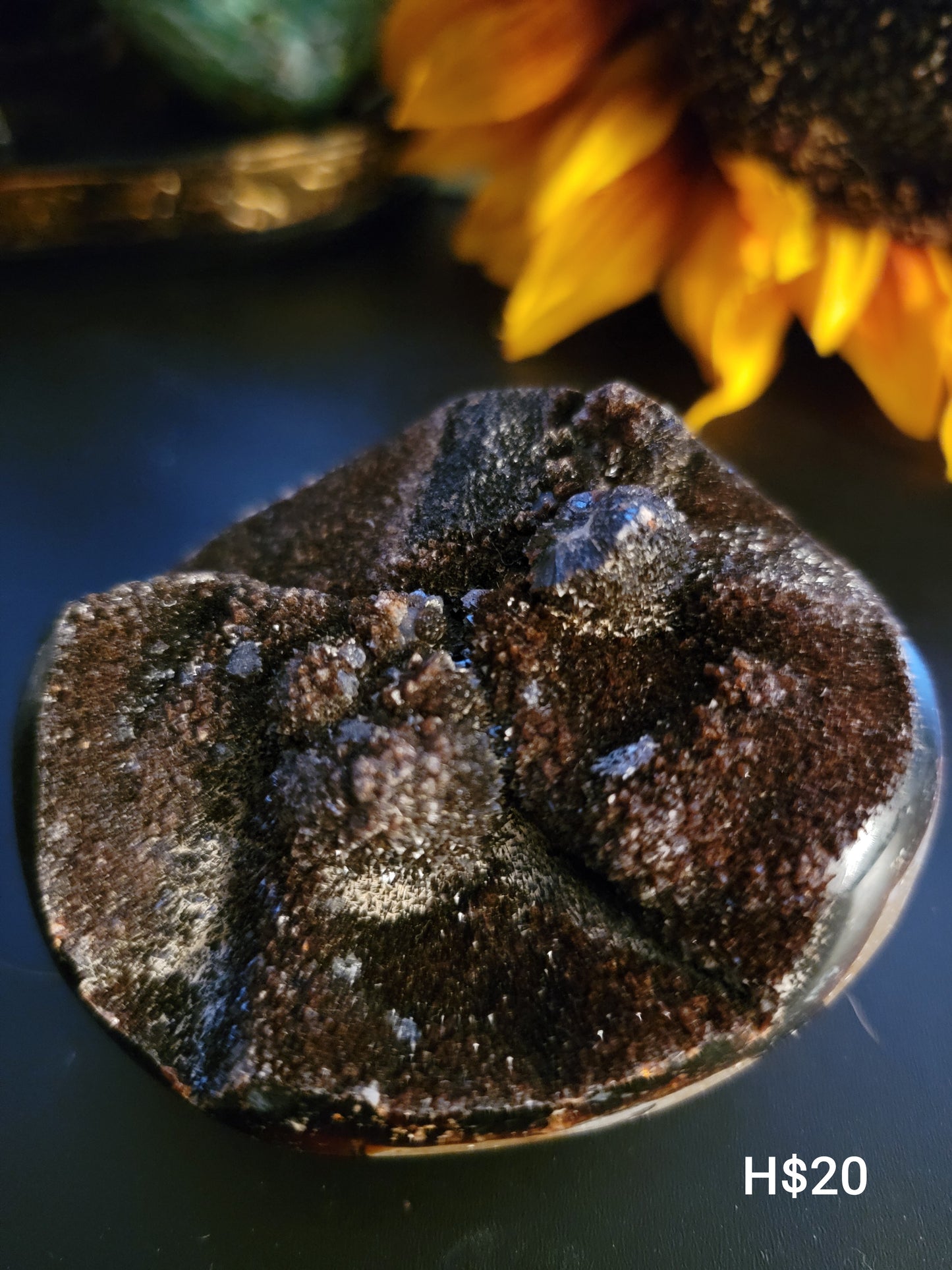 Wild Septarian (H) - The Healing Collective NY