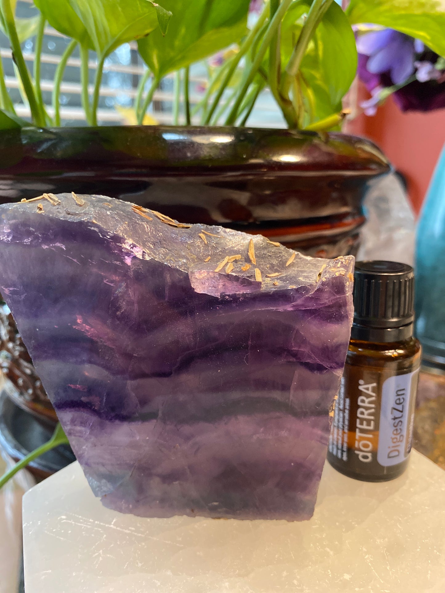 Rainbow Fluorite Polished Slab w/ Raw Edge - The Healing Collective NY
