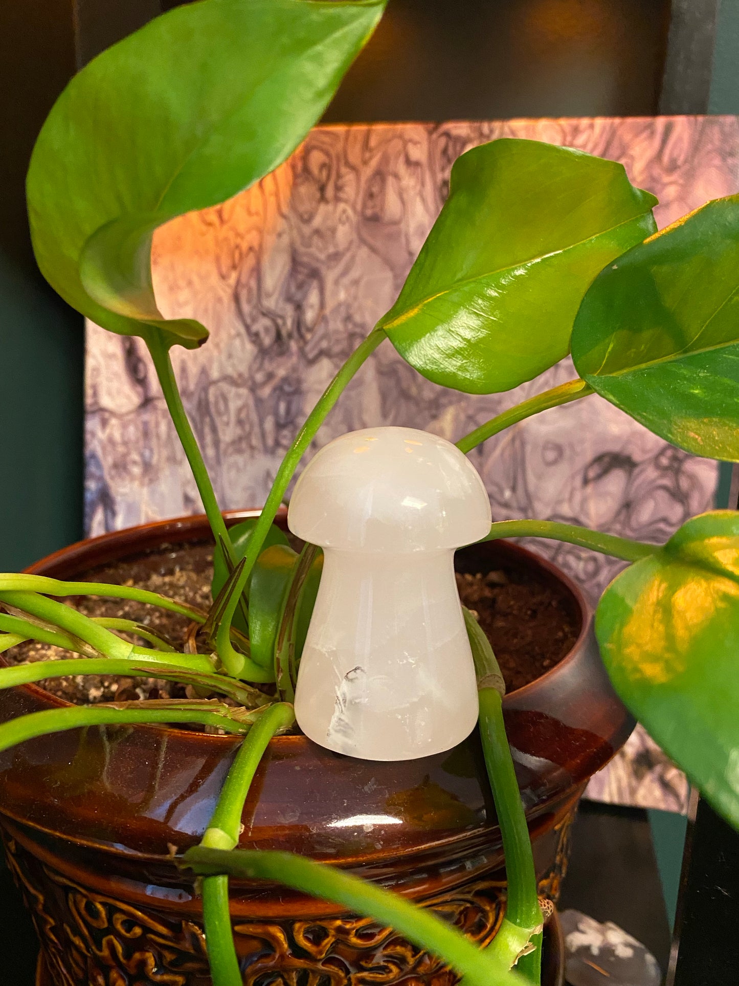 Mangano Mushrooms ๐- UV reactive - Fluorescent - The Healing Collective NY