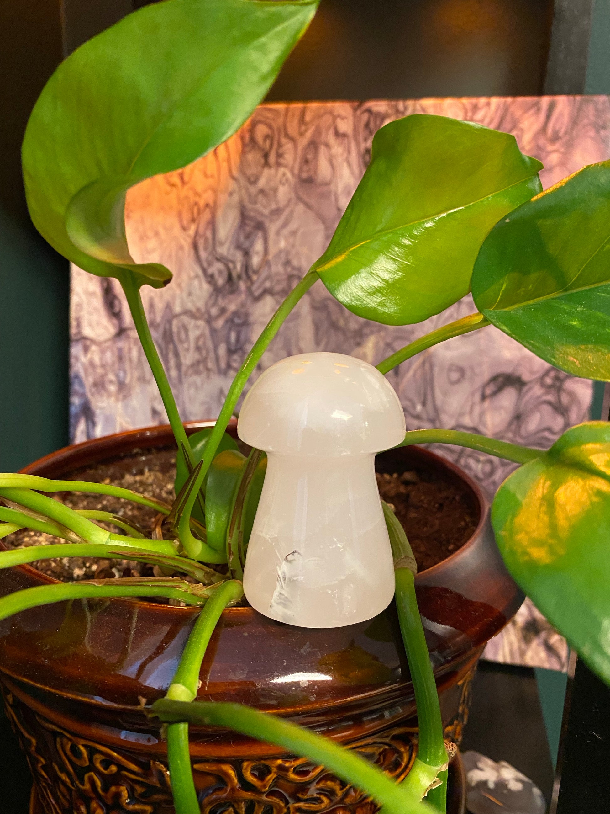 Mangano Mushrooms 🍄- UV reactive - Fluorescent - The Healing Collective NY