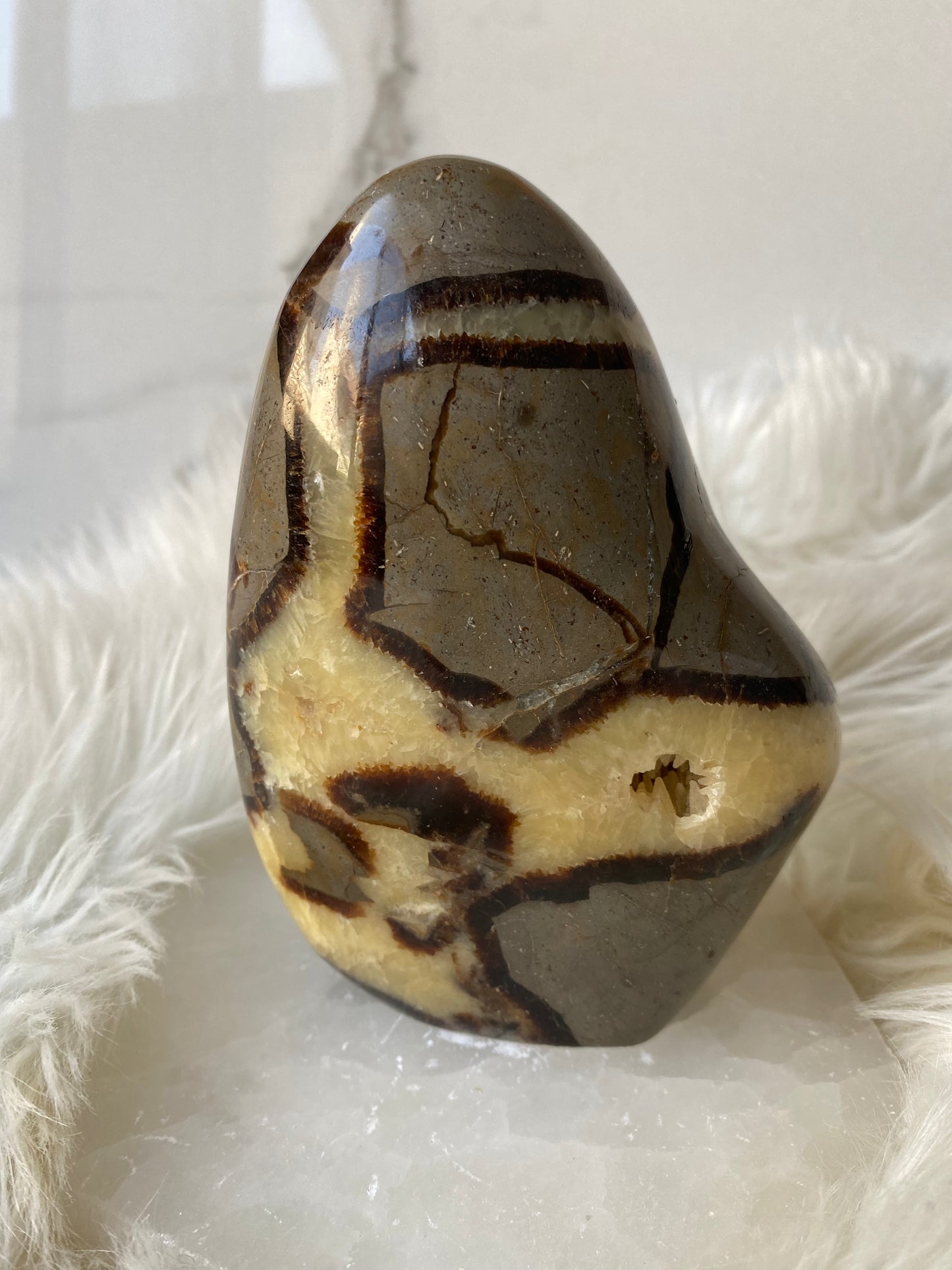 Septarian Dragonstone Freeform - Madagascar Polished Septarian -Large 2 lbs