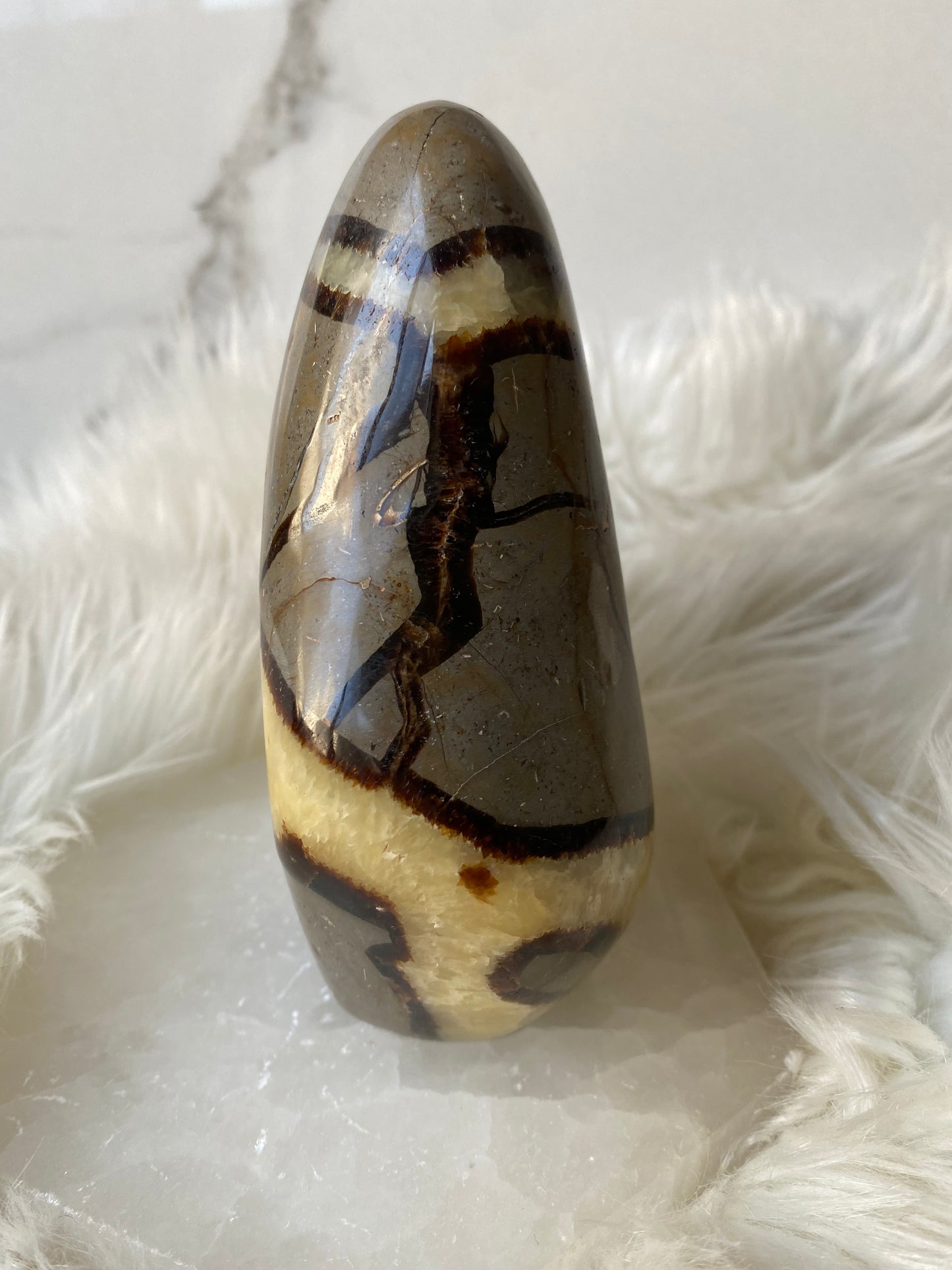 Septarian Dragonstone Freeform - Madagascar Polished Septarian -Large 2 lbs