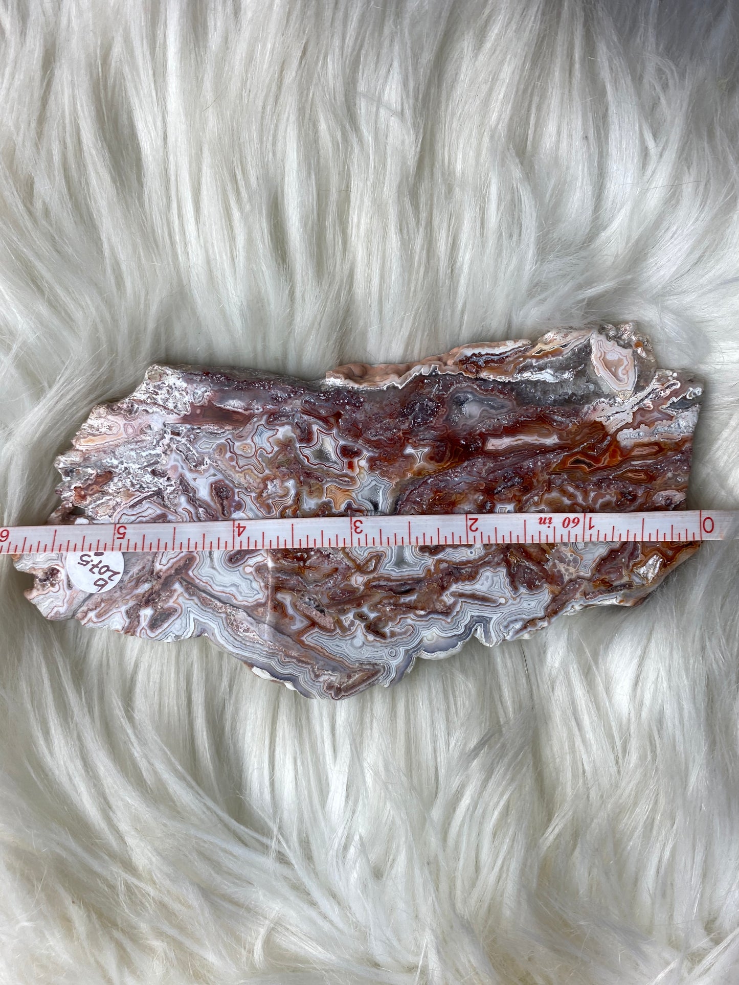 Crazy Lace / Mexican Druzy Agate Slab