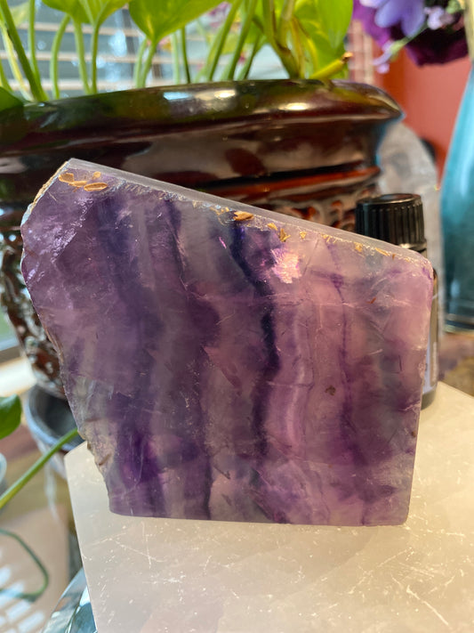 Rainbow Fluorite Polished Slab w/ Raw Edge - The Healing Collective NY