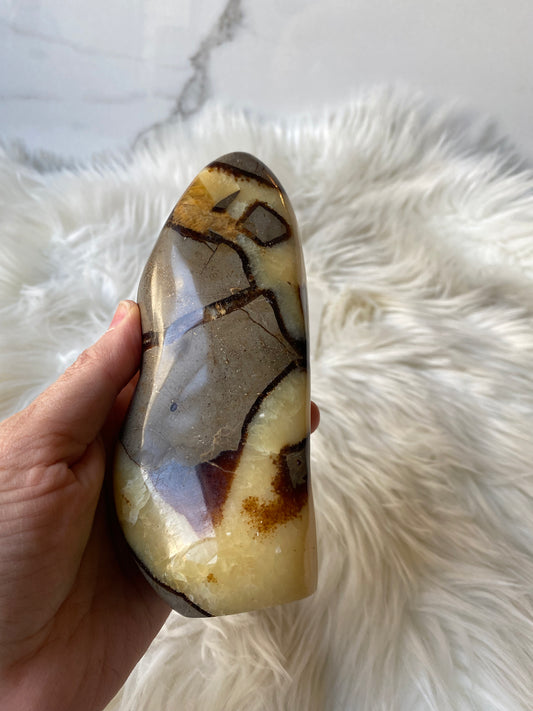 Septarian Dragonstone Freeform - Madagascar Polished Septarian