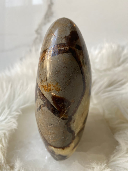 Septarian Dragonstone Freeform - Madagascar Polished Septarian -Large 2 lbs