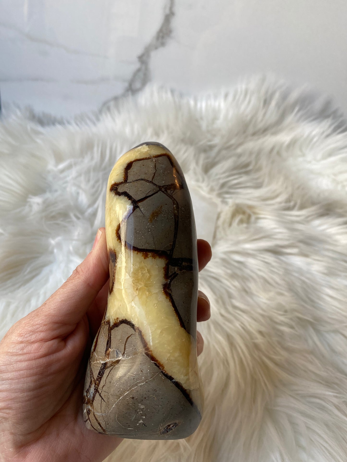 Septarian Dragonstone Freeform - Madagascar Polished Septarian