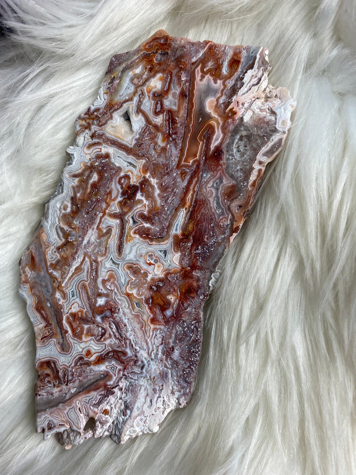 Crazy Lace / Mexican Druzy Agate Slab