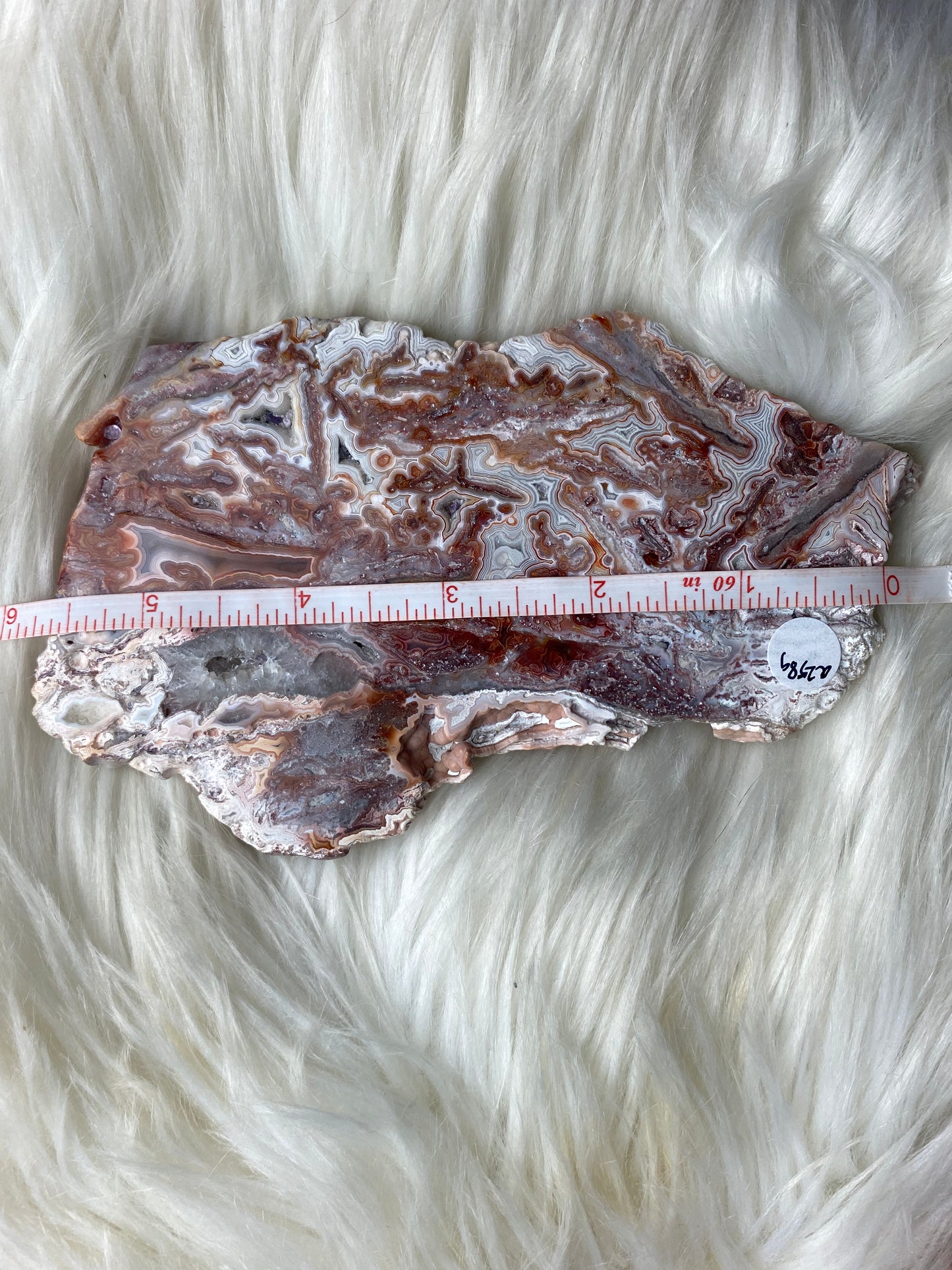 Crazy Lace / Mexican Druzy Agate Slab