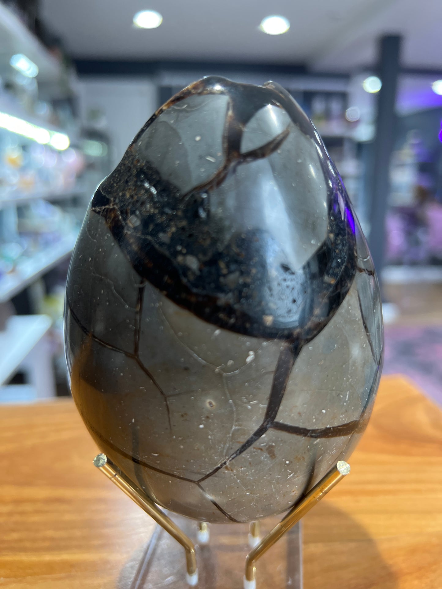 Wild Septarian - Cozy Coven
