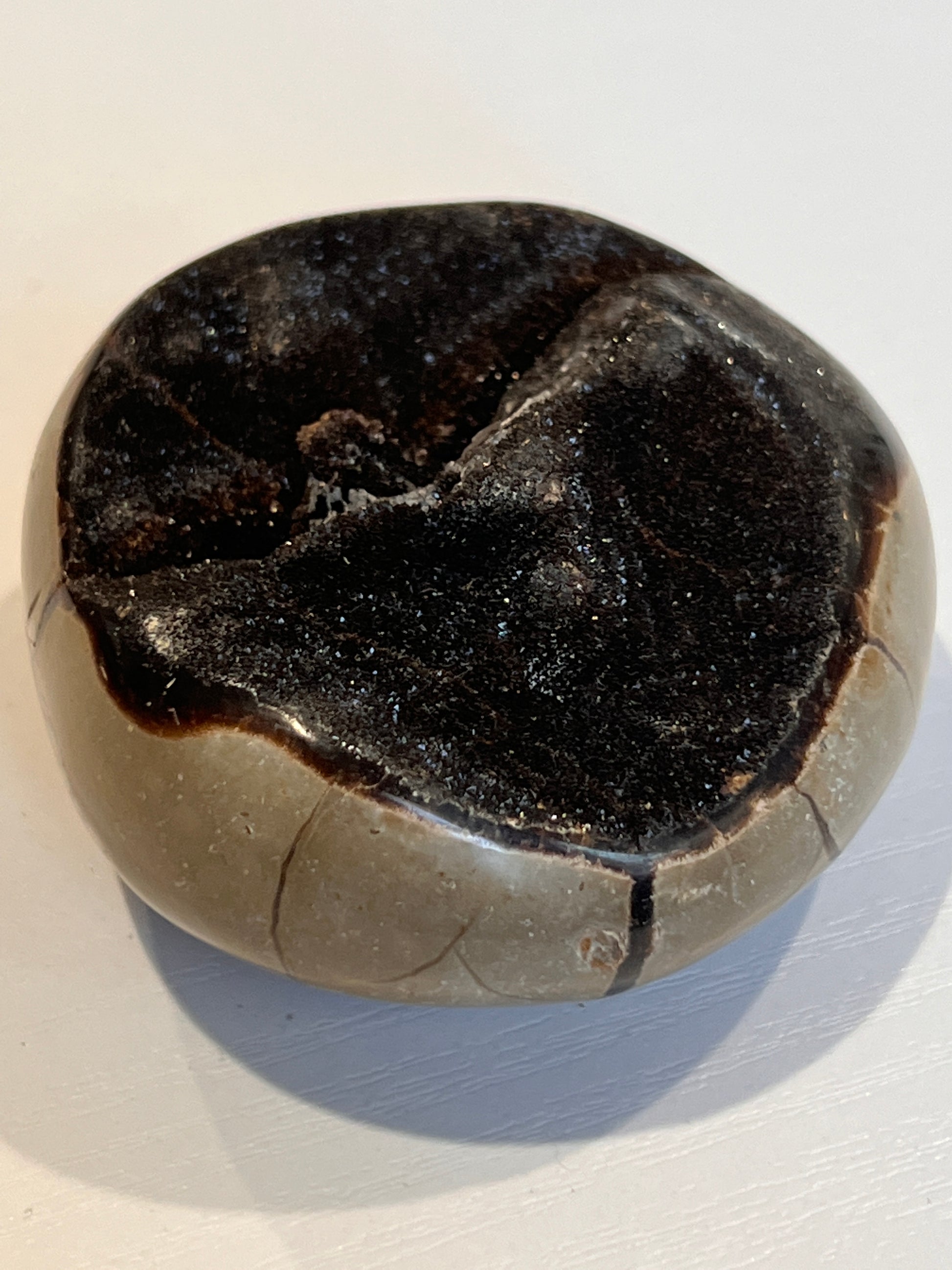Wild Septarian - The Healing Collective NY