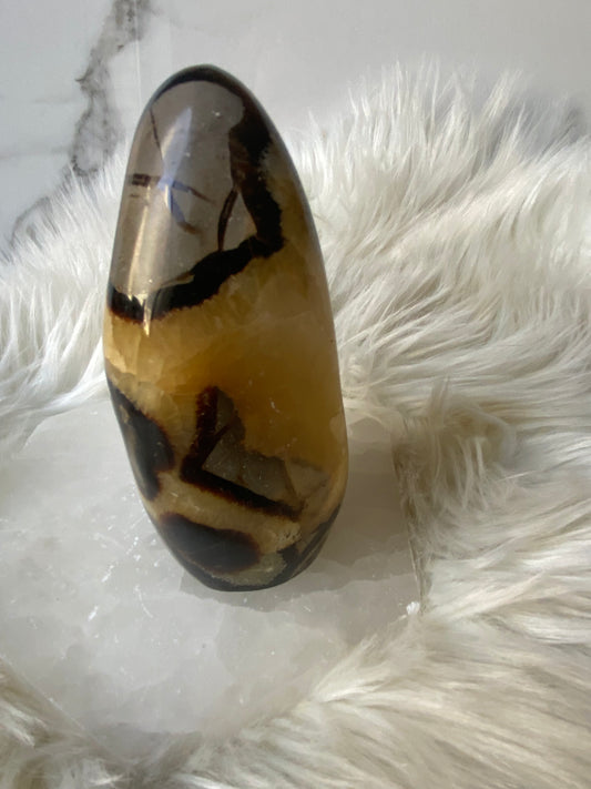 Septarian Dragonstone Freeform - Madagascar Polished Septarian
