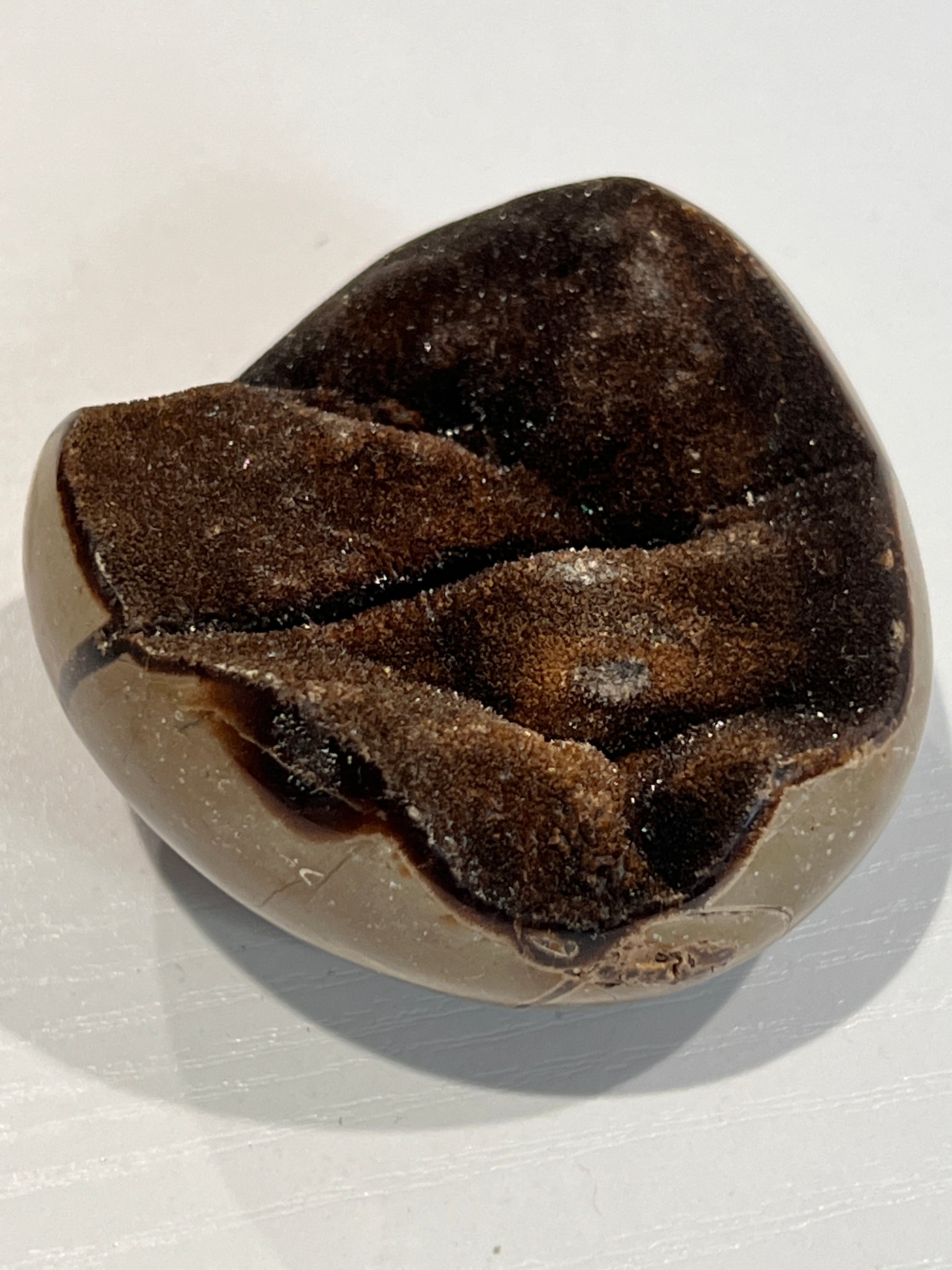 Wild Septarian - The Healing Collective NY