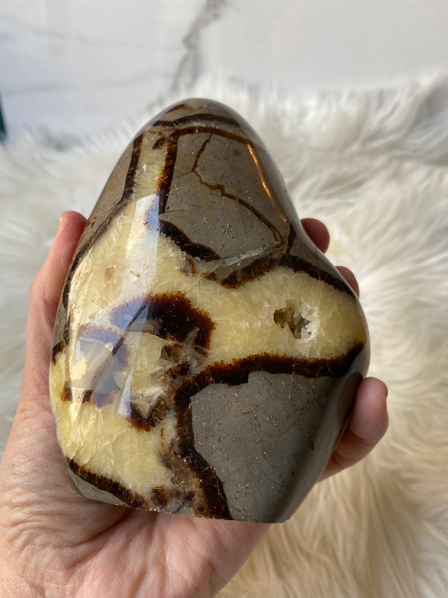 Septarian Dragonstone Freeform - Madagascar Polished Septarian -Large 2 lbs