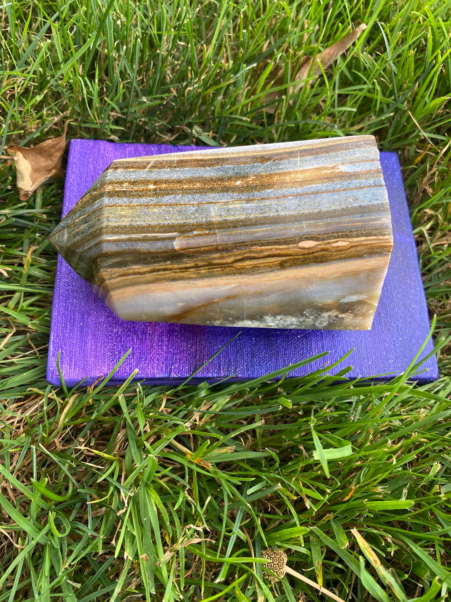 Large Ocean Jasper Point