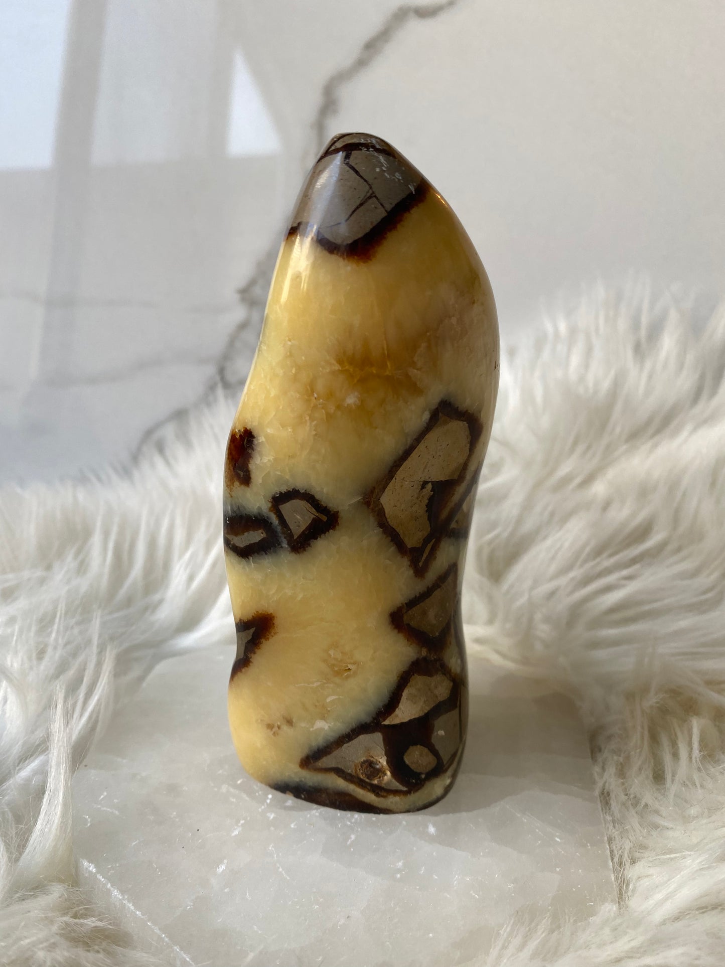 Septarian Dragonstone Freeform - Madagascar Polished Septarian