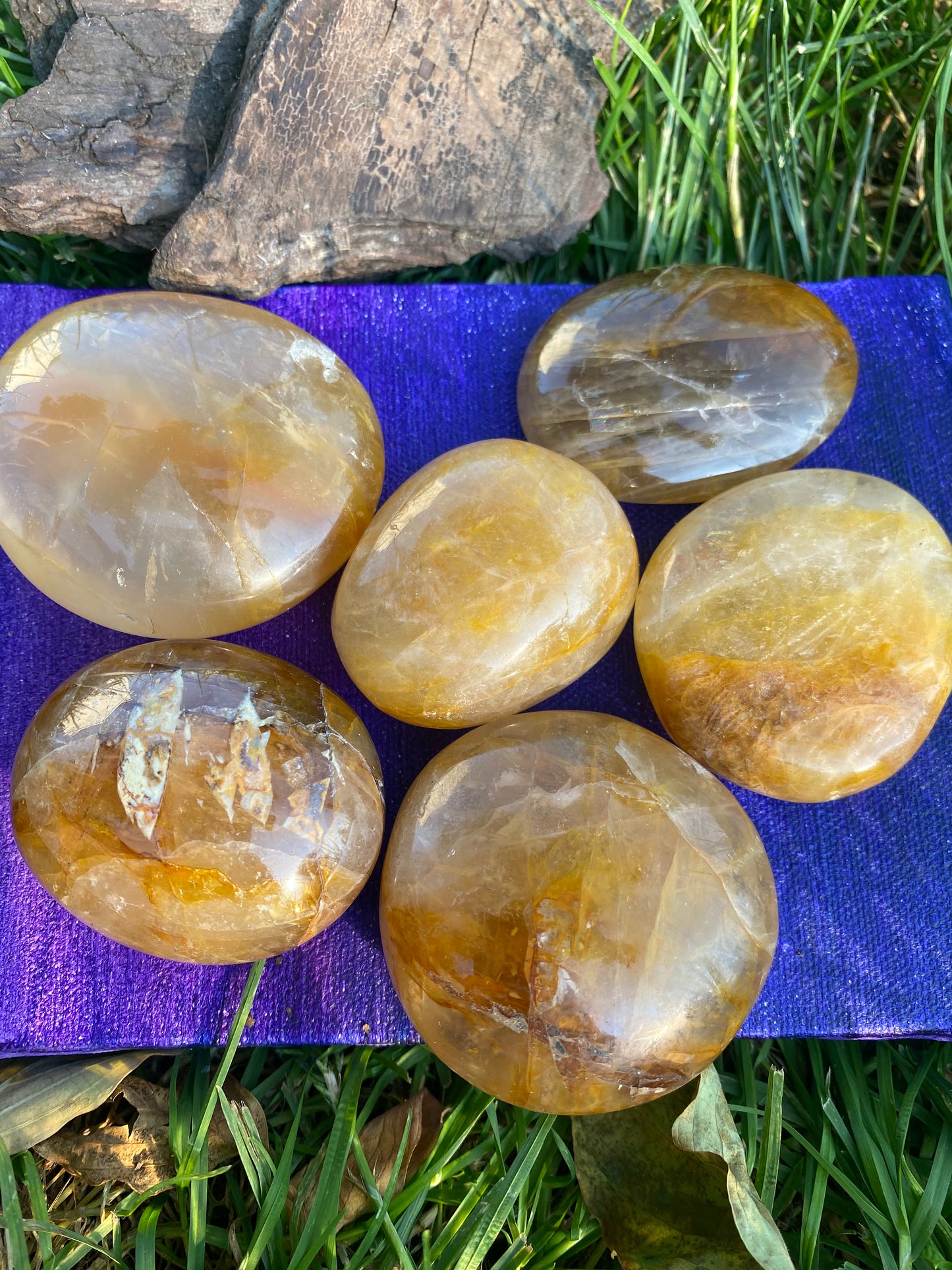 Golden Healer Palm Stone