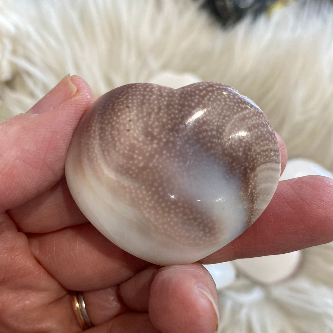 Shiva Shell Hearts
