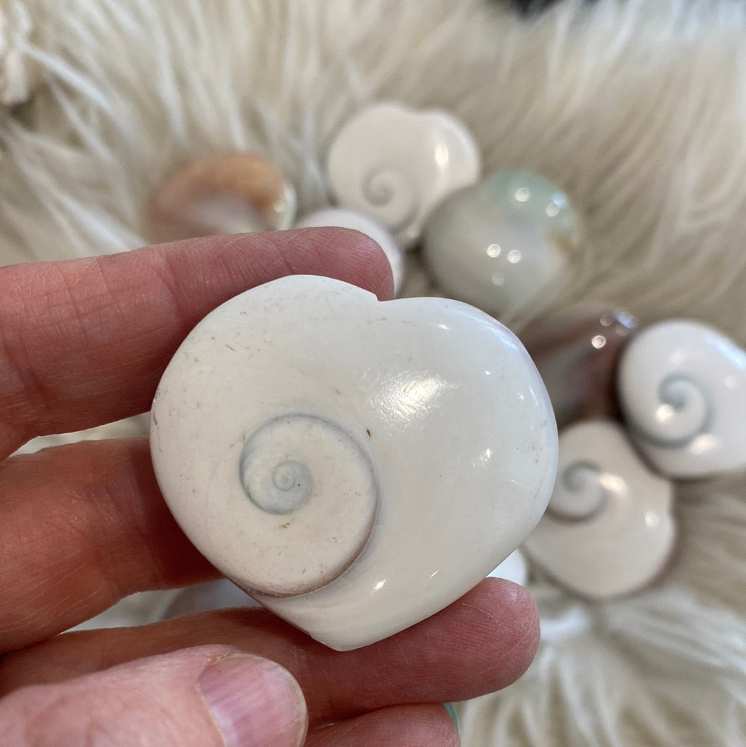 Shiva Shell Hearts