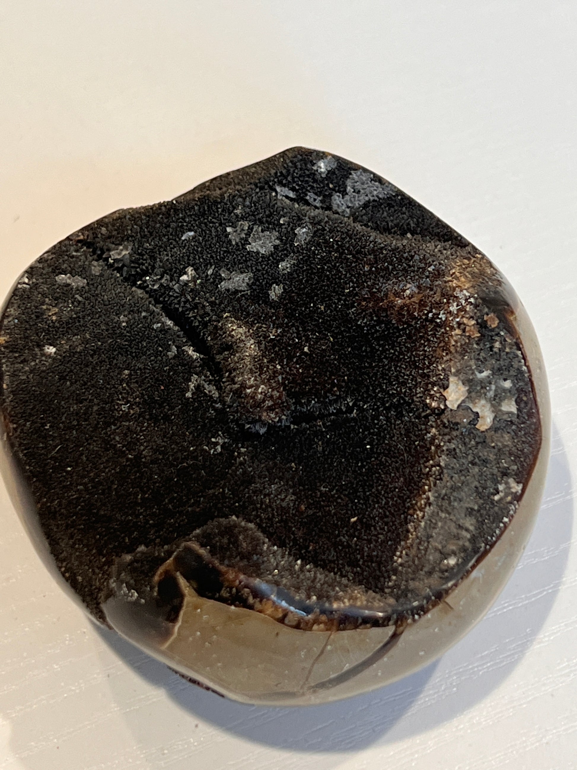Wild Septarian - The Healing Collective NY