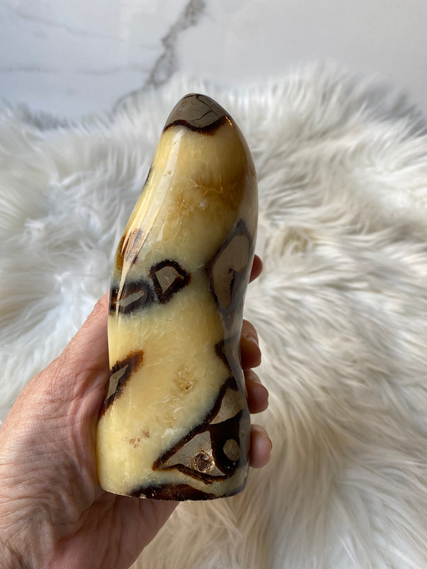 Septarian Dragonstone Freeform - Madagascar Polished Septarian