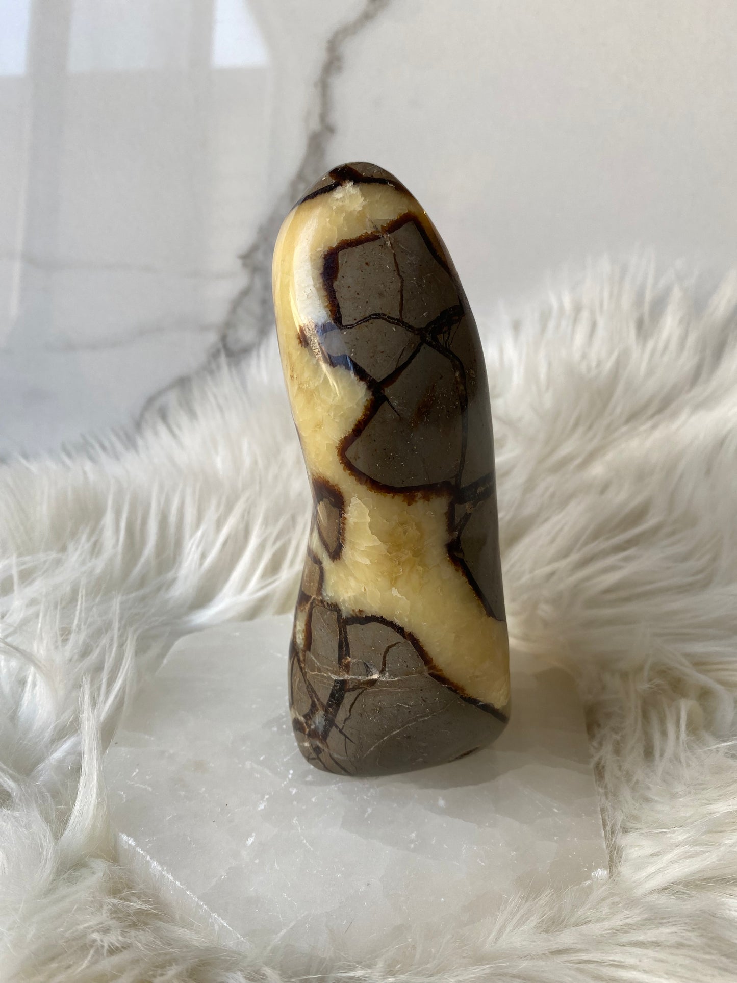 Septarian Dragonstone Freeform - Madagascar Polished Septarian