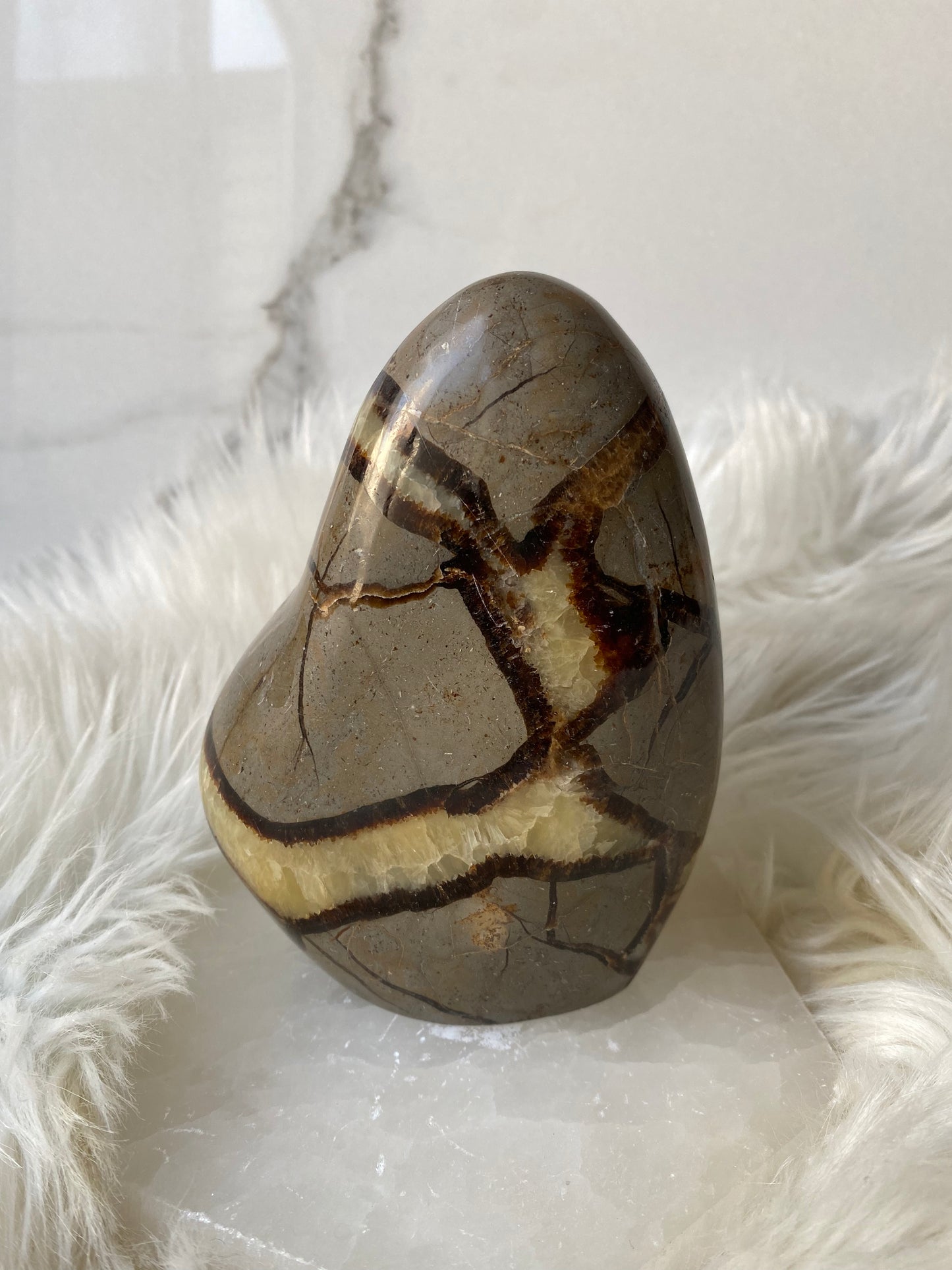 Septarian Dragonstone Freeform - Madagascar Polished Septarian -Large 2 lbs